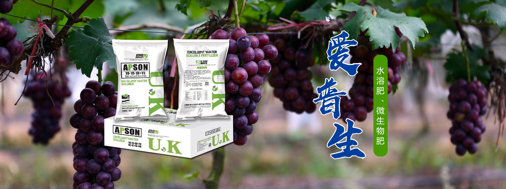 愛普生農業(yè)